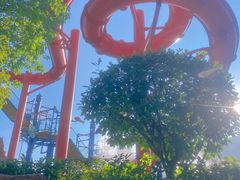 -苏州乐园森林水世界