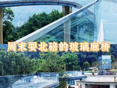 -缙云山景区