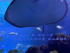 -重庆欢乐海底世界