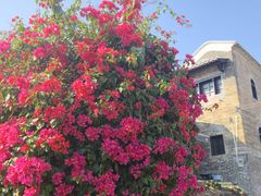 -繁仔牛杂(石排店)