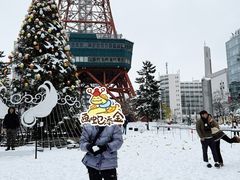 -大通公园