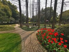 -中共上海市委党校 上海行政学院