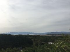-欢乐松鼠谷