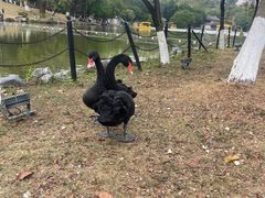 -珠海圆明新园