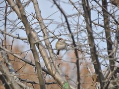 -星光摄影器材城