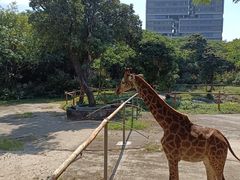 -深圳野生动物园