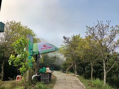 -梧桐山风景名胜区