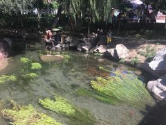 -水磨沟公园