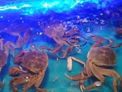 -SEA西雅图海鲜自助餐厅(海乐世界店)