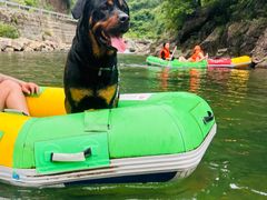 -安吉龙王山峡谷漂流