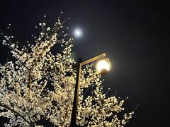 -相门城墙文化休闲景区