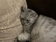 -隅cafe(傅厚岗店)