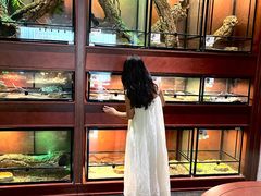 -帕帕拉兹宠物(亚洲旗舰店)