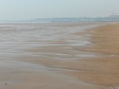 -日照海滨国家森林公园