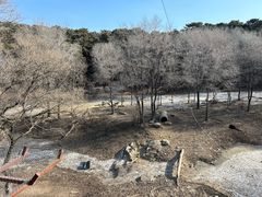 -沈阳森林动物园