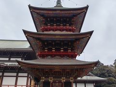 -成田山新胜寺