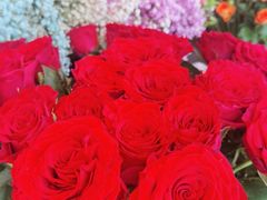 -爱尚幸福鲜花(上地实体店)