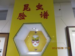 IMG_2878-上海昆虫博物馆