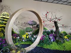 -杭州植物园