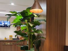 -纯肴大东北(新城北街店)