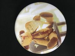 -珍妮曲奇聪明小熊(尖沙咀店)