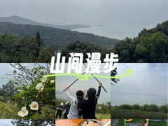 -雨花胜境