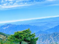 -灵山