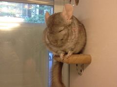 -龙猫仔乐园(惠福东路店)