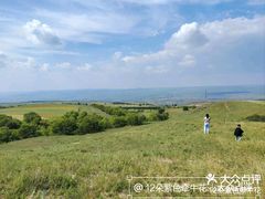 -草原天路(张北县)