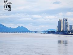 -江心屿景区