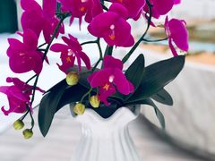 -杭州平安悦坊 PAFC LIVING
