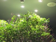 -森SPA·泰式按摩·精油Massage(宝安中心店)