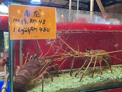 -大树下海鲜饭店