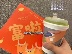 -代数学家algebraist(苏州中心店)