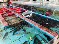 水产区-景好海鲜餐厅(大鹏必选旅游店)