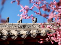 -桃花堤公园