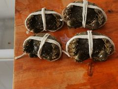 -阳澄湖大闸蟹·琼灵阁牌品牌连锁(吴中总店)