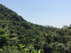 -火炉山森林公园