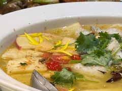 -花溪雨·森林餐厅(石基店)