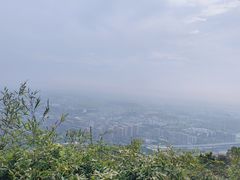 -杭州半山国家森林公园