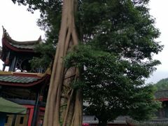 -峨眉山报国寺