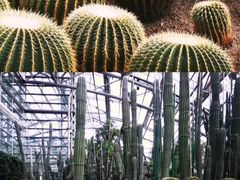 -南山植物园