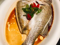 -绿茶餐厅(昌平悦荟店)