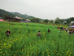 -红山村