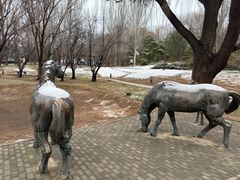 -元大都城垣遗址公园