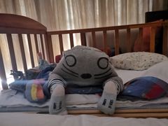 -三亚湾海居铂尔曼度假酒店