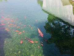 -裕兴记·三虾面(西北街总店)