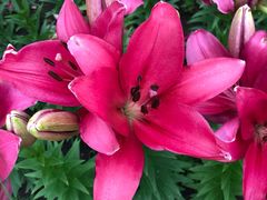 -长春公园(普阳街道)