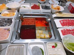 -海底捞火锅(铂澜大象城店)