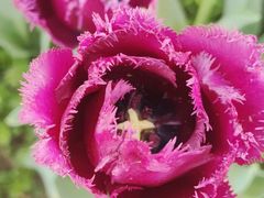 -玄武湖景区-情侣园游乐场